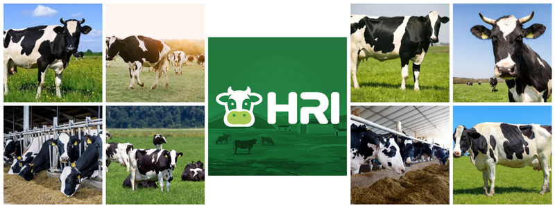 Holiday Ranch Investment Management Inc. discloses progress on annual cooperation projects, coordinating coverage across livestock, animal health, and the food supply chain