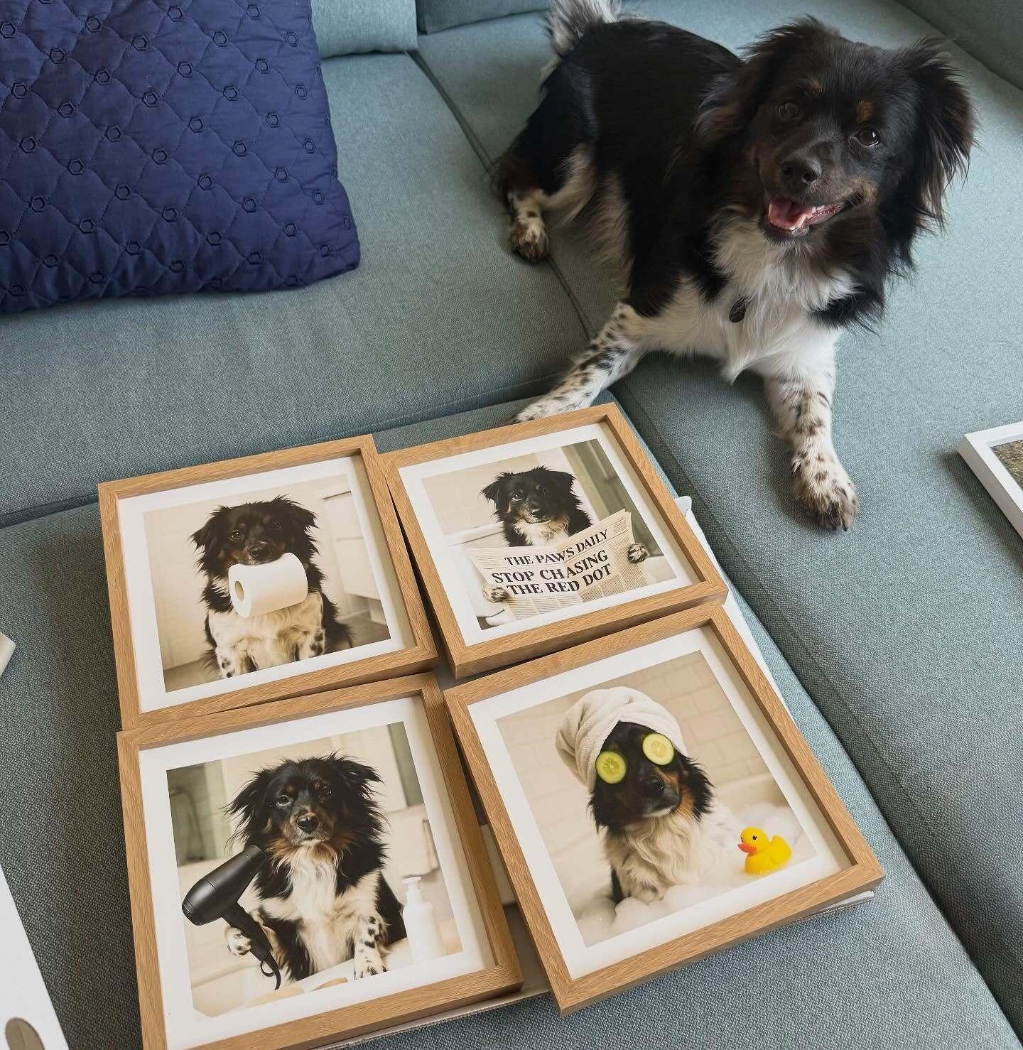 Mixtiles Unveils ‘Smart Gallery Designer,’ Leveraging AI to Perfect Photo Walls Instantly