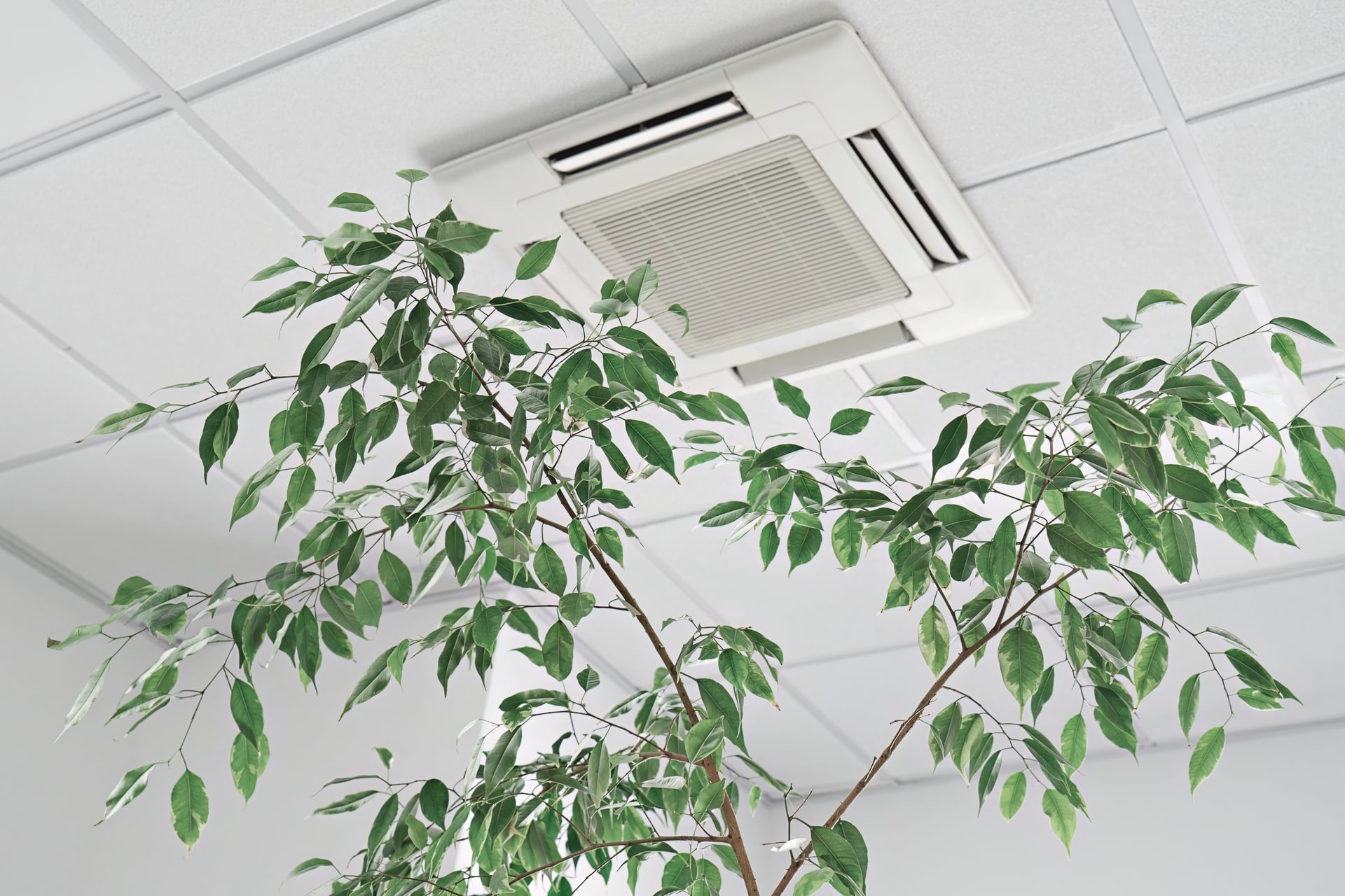 Hoover, AL Whole-Home Indoor Air Quality System Installation Services Expanded